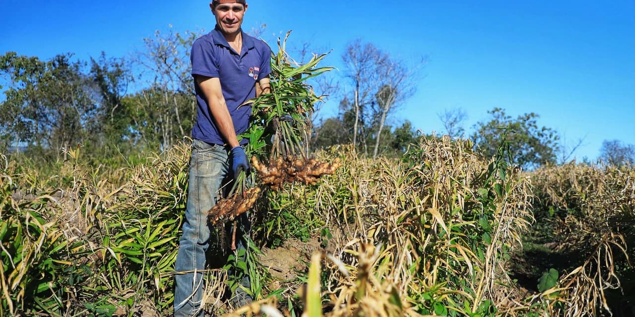 Governo seleciona 34 profissionais em programa de residência em economia rural