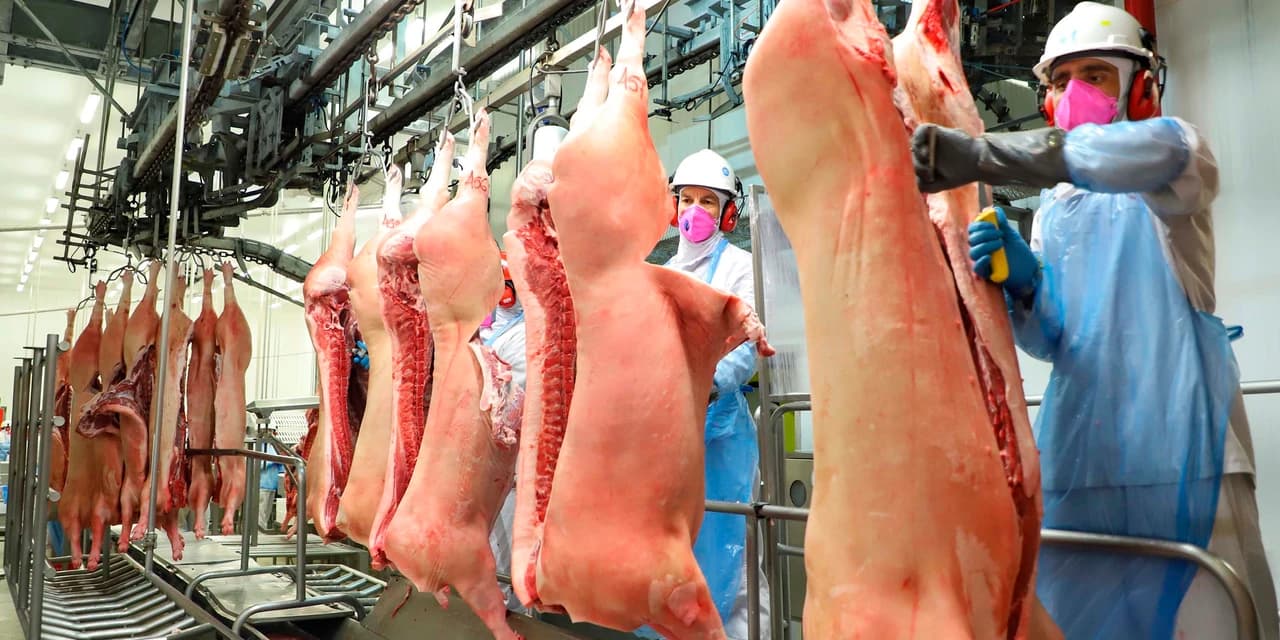 Exportações do agronegócio paranaense cresceram 40,8% em volume em 2023