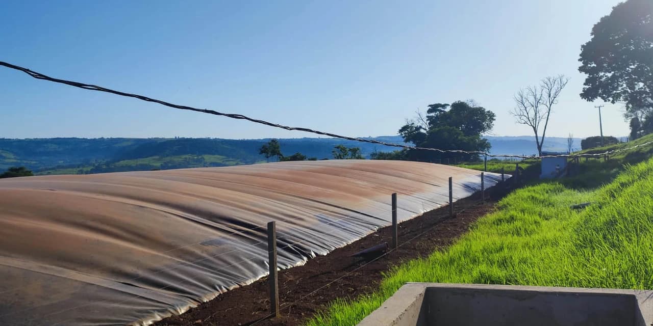 Apoio do Governo do Estado na geração de energia renovável no campo vira case internacional