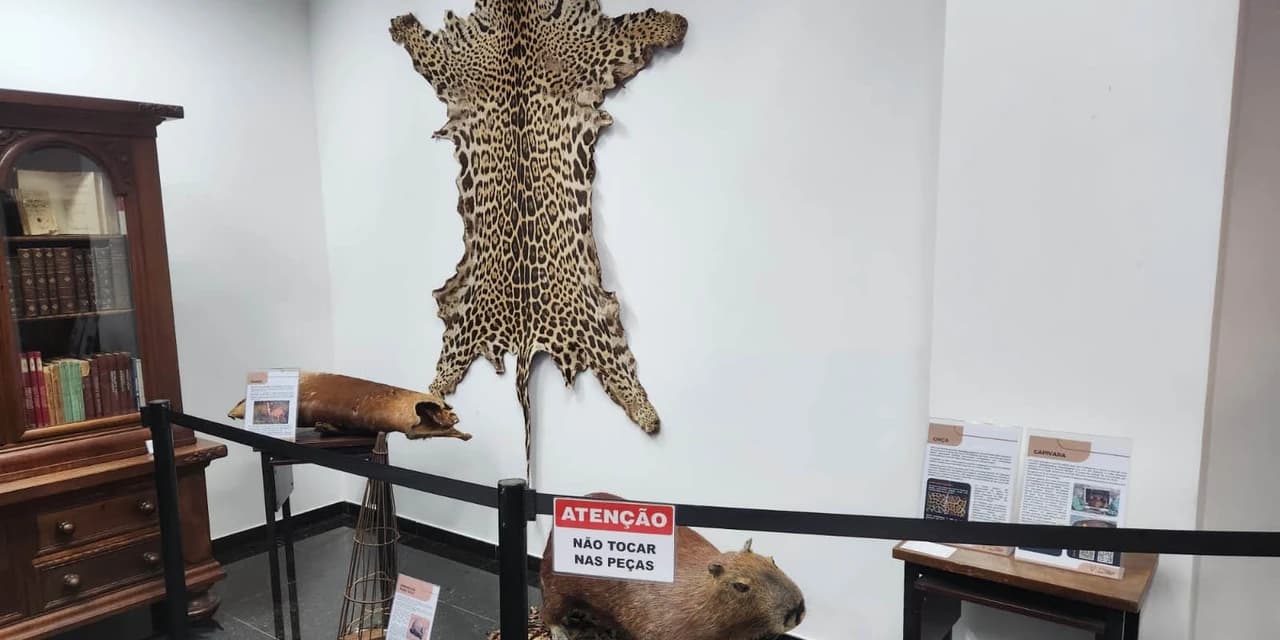 Polícia Científica leva exposição sobre crimes ambientais para Matinhos e Guaratuba