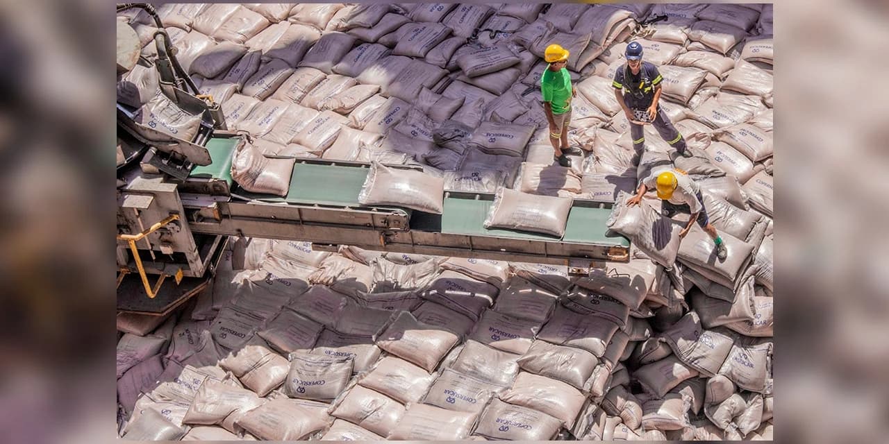 Com apoio da Índia, exportação de açúcar de cana rendeu 21% aos paranaenses em 2023