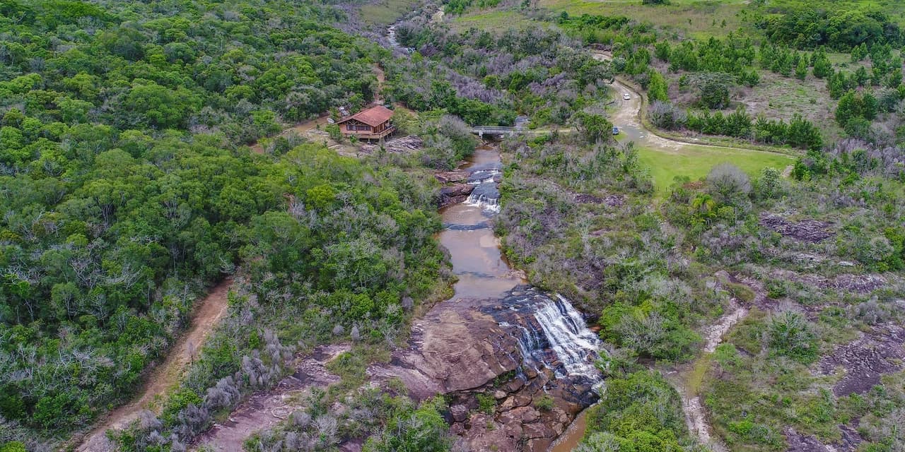 De olho num Carnaval natural? Parques do Paraná têm flora rica e cores exuberantes