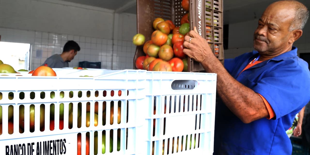 Para zerar desperdício, Banco de Alimentos doa 24 toneladas por mês a animais resgatados