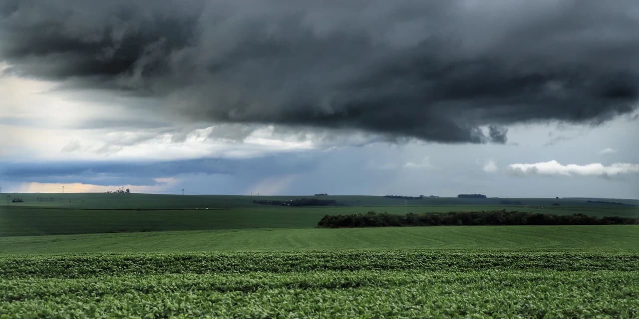 Fevereiro é marcado por chuvas estáveis e temperaturas altas, indica boletim do IDR-Paraná
