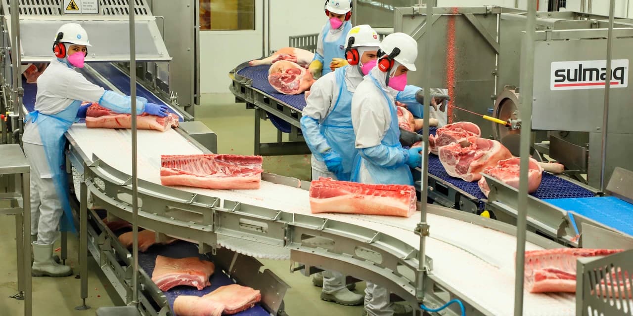 Paraná é o maior produtor de carne suína para consumo interno, aponta boletim do Deral
