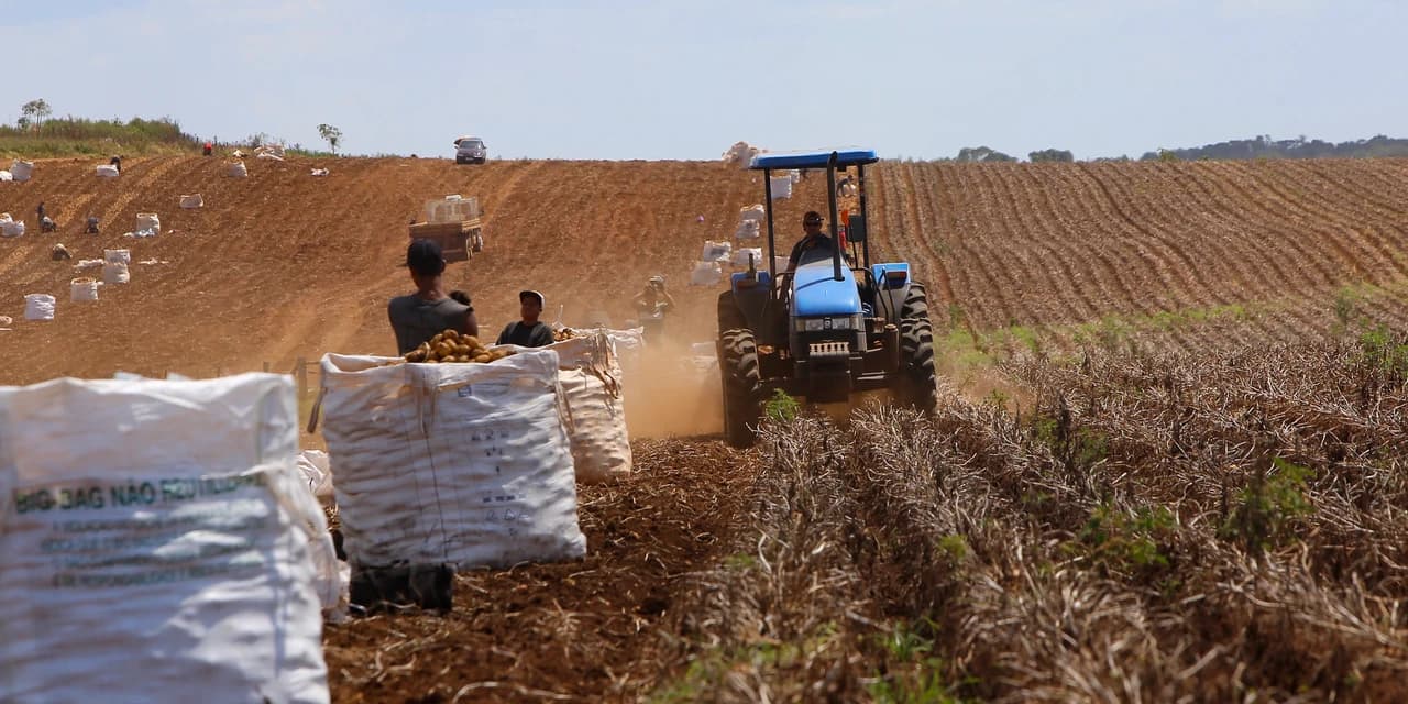 Conselho Monetário Nacional autoriza produtores a renegociar dívidas do crédito rural