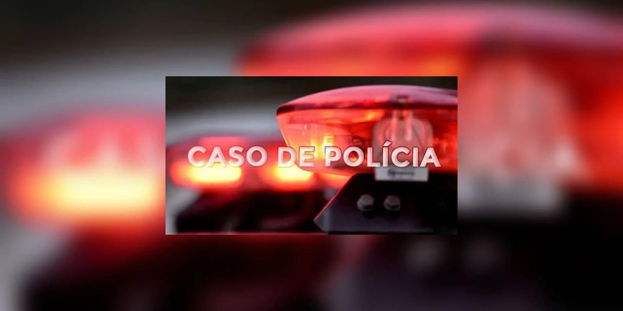 Polícia Civil de Palmeira investiga suposto abandono de recém nascido
