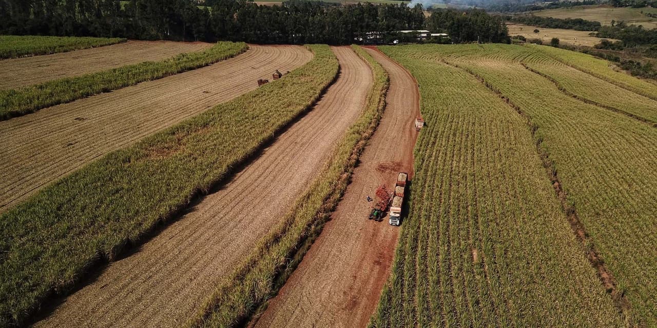 Paraná vai produzir 1,25 bilhão de litros de etanol na atual safra, aponta boletim