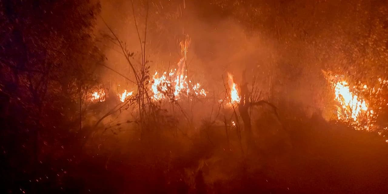 Período mais seco: IAT faz alerta sobre incêndios nas Unidades de Conservação do Paraná