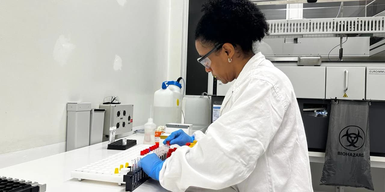 Diferentes métodos e tecnologia: saiba como são confirmados os casos de dengue no Paraná