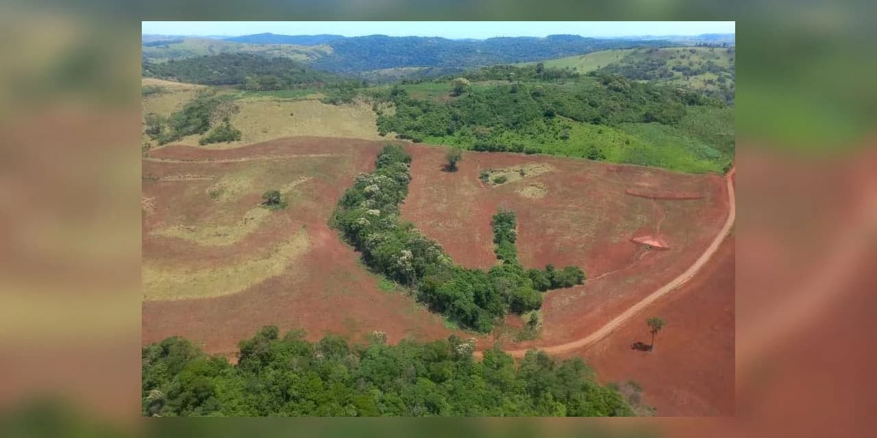 Imagens de satélite: 1ª operação remota contra desmatamento aplica R$ 5,9 milhões em multas