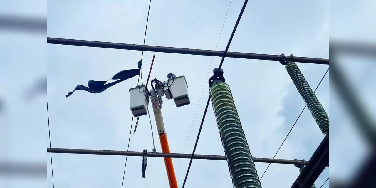 Copel alerta para ocorrências e risco de balões na rede elétrica