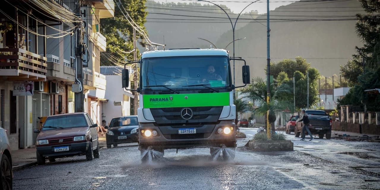 De limpeza de escola a salvamento de animais: a rotina solidária da equipe do IAT no RS
