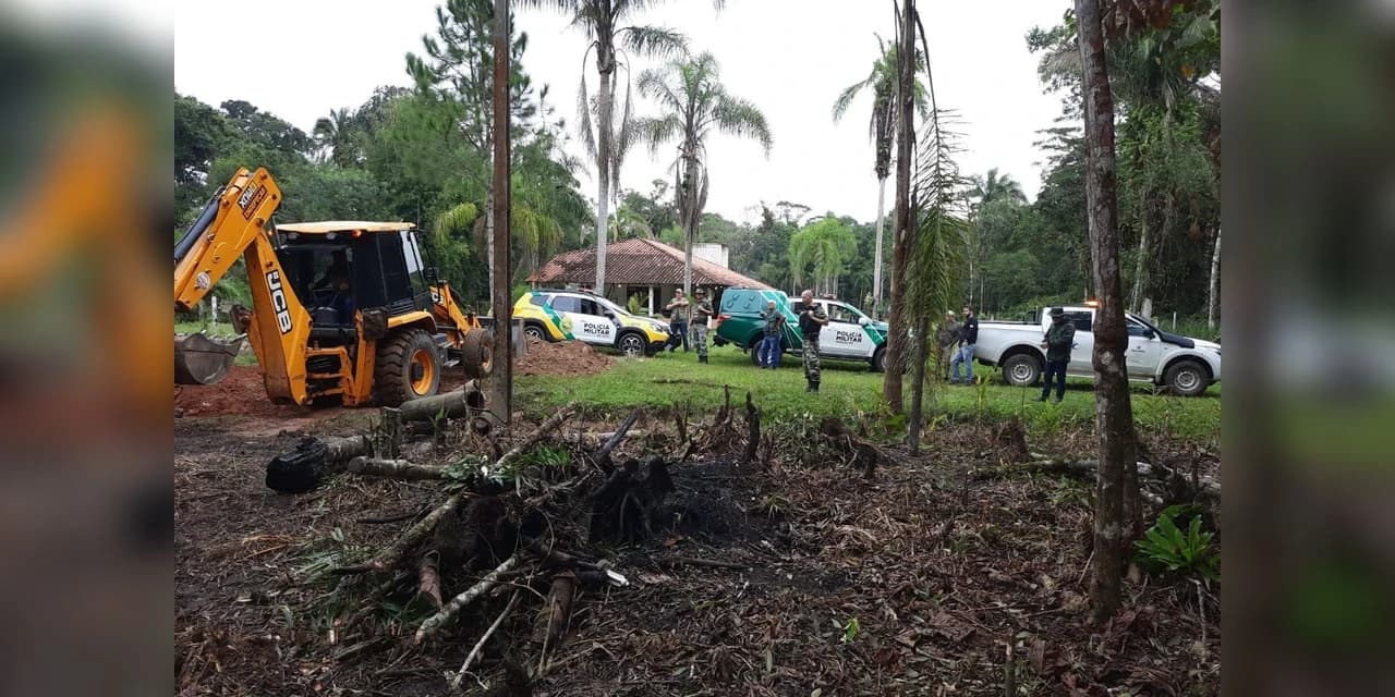 Paraná reduziu desmatamento em 78% em 2023, aponta Fundação SOS Mata Atlântica