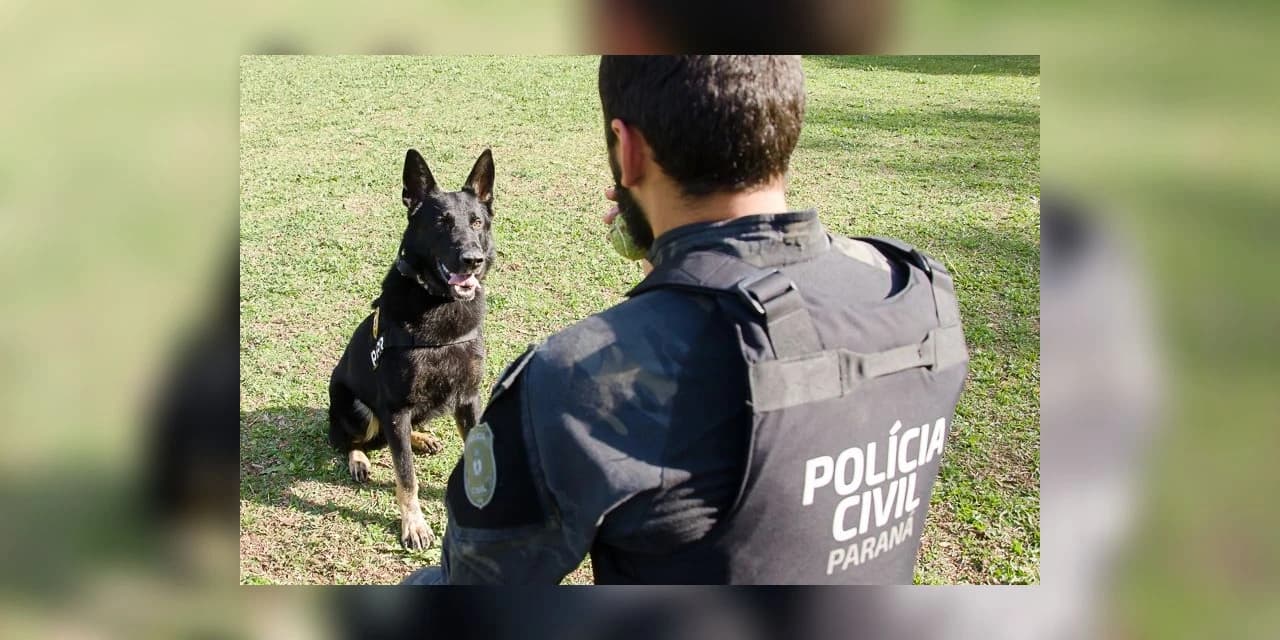 Polícia Civil do Paraná promoverá ações em alusão ao Junho Branco