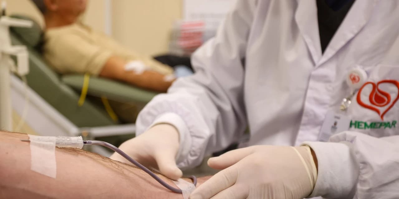 Junho Vermelho: Paraná lança campanha para incentivar as doações de sangue