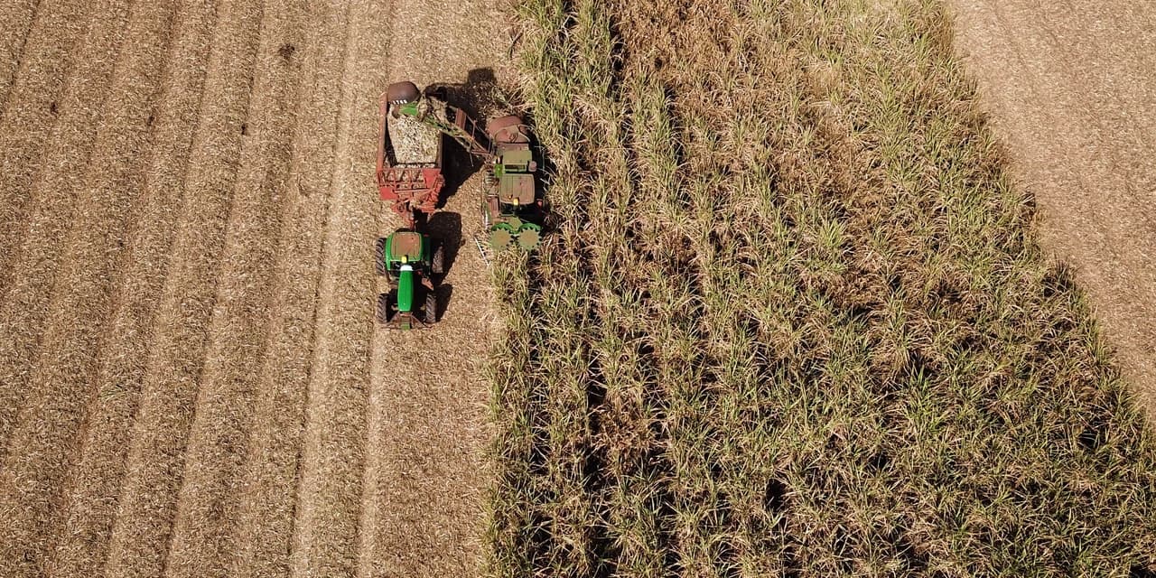 VBP Agropecuário do Paraná cresce 11% em 2023 e alcança R$ 197,8 bilhões