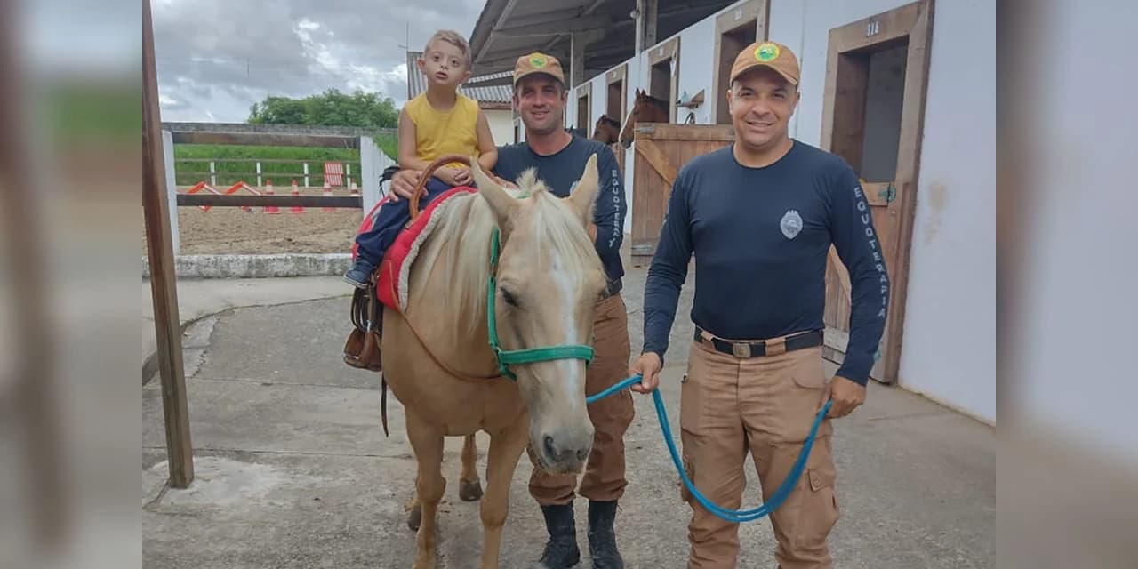 Terapia com cavalos da PMPR colabora na qualidade de vida de pessoas com deficiência