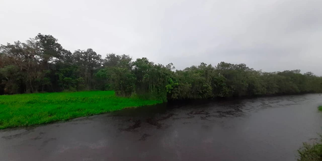 Estação Ecológica Rio das Pombas: Paraná ganha a 73ª Unidade de Conservação