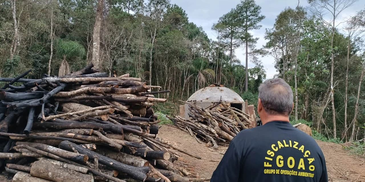 IAT intensifica fiscalização contra desmatamento ilegal na região Central do Estado