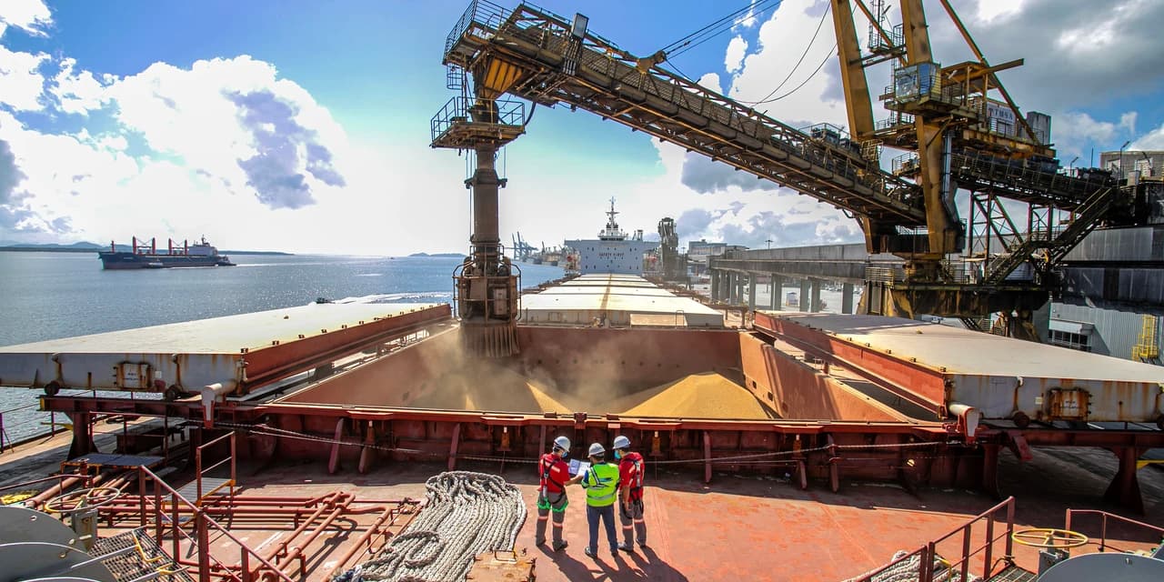 Portos do Paraná batem recorde de movimentação no primeiro semestre de 2024