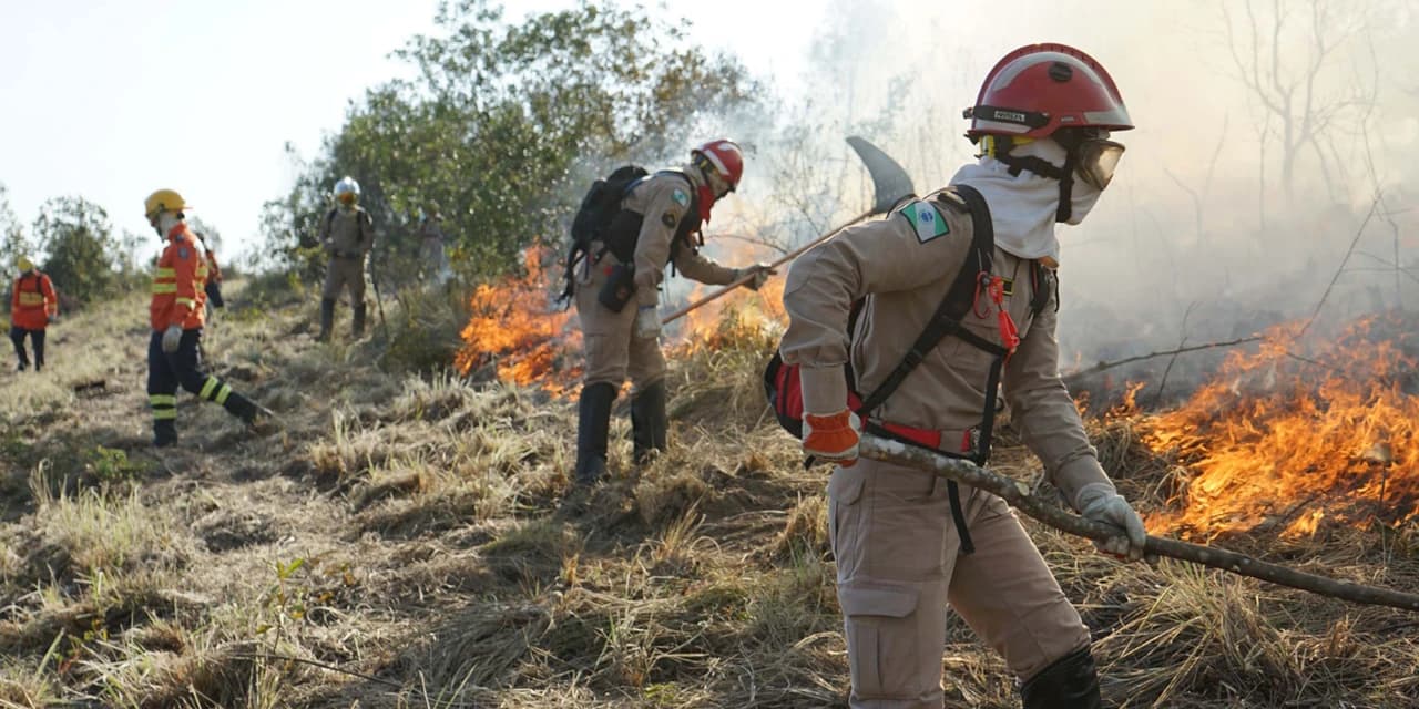 Bombeiros prestaram mais de 63 mil atendimentos no 1º semestre; incêndios cresceram