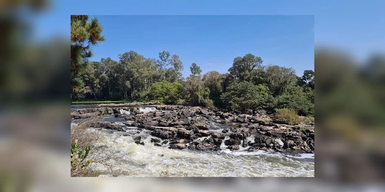 Com 16 hectares de área, Estado vai implementar três parques para proteger o Rio Iguaçu