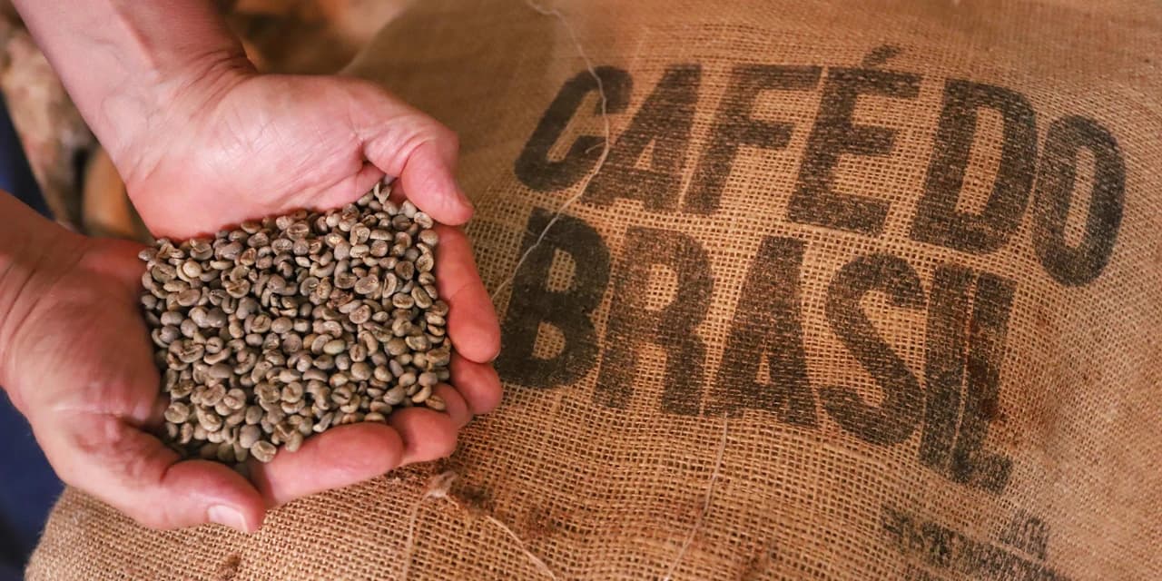 Exportações de café do Paraná têm melhor 1º semestre dos últimos 12 anos