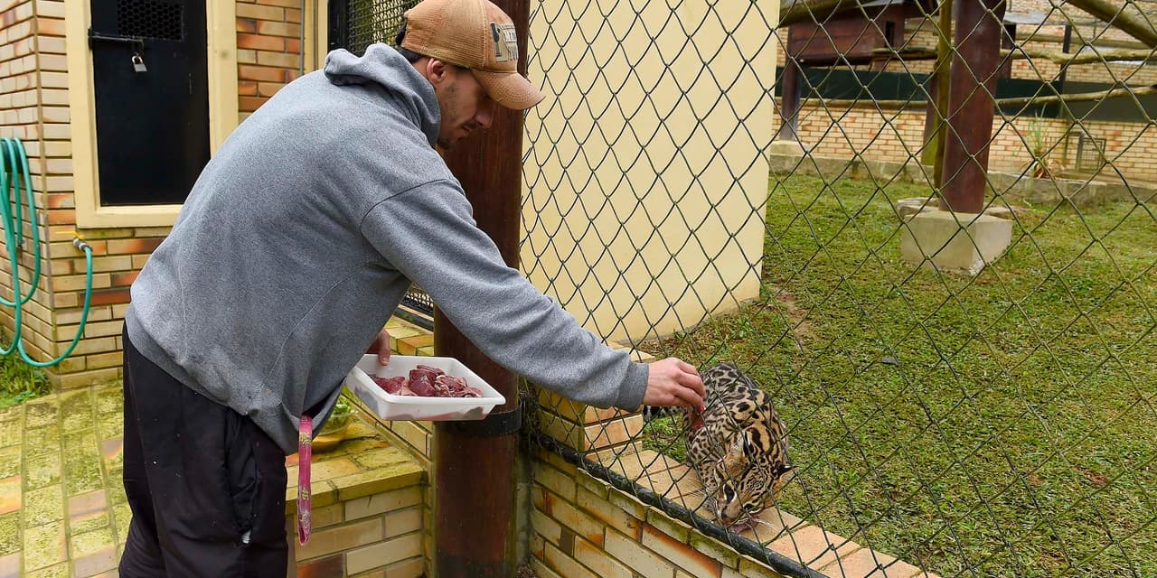 Parceria entre IAT e Ceasa ajuda a matar a fome de animais silvestres em criadouros
