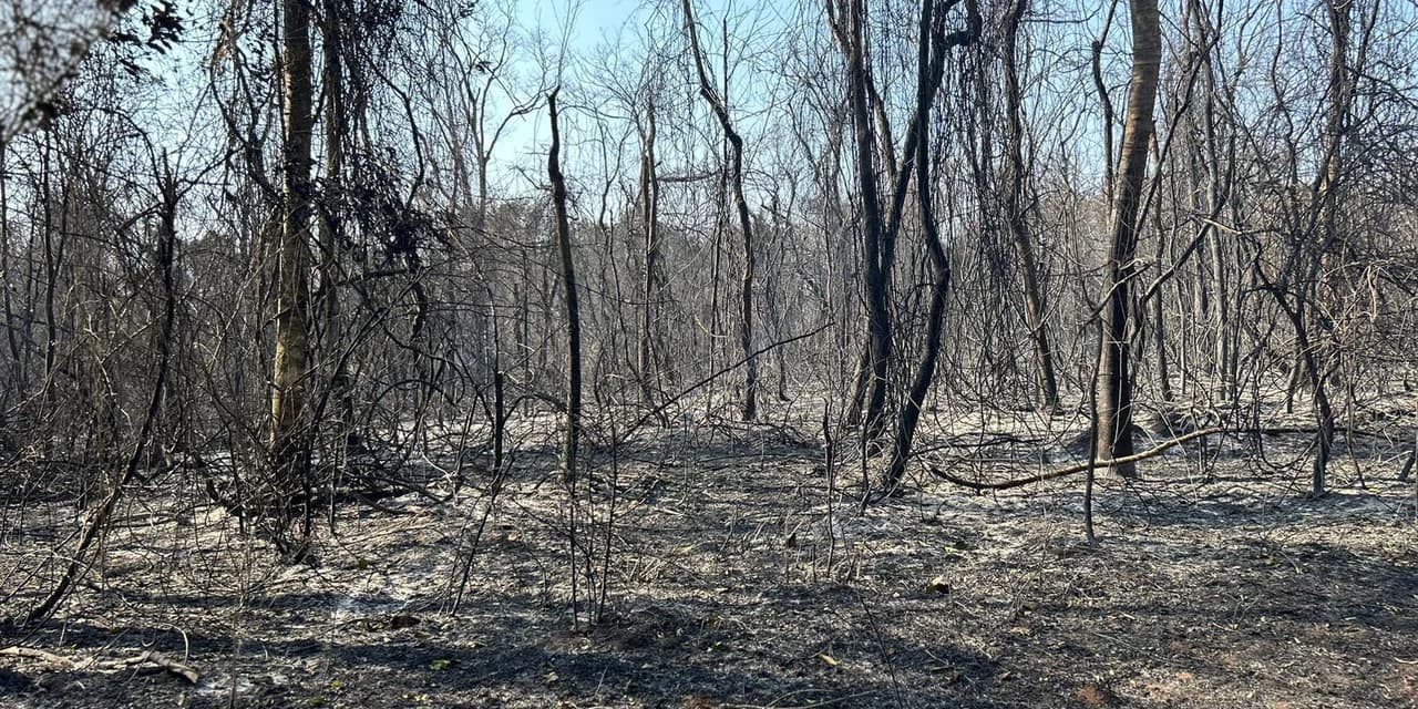 IAT ajuda a combater três novos focos de incêndio florestal no Paraná