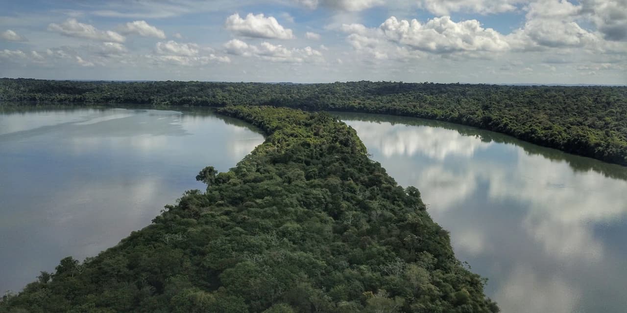 Paraná é o Estado mais sustentável do Brasil, aponta Ranking de Competitividade