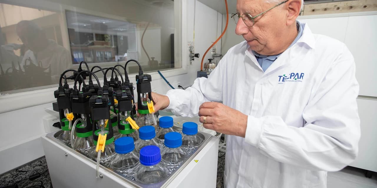 Tecpar inicia estudo para avaliar potencial de geração de energia a partir de resíduos de alimentos