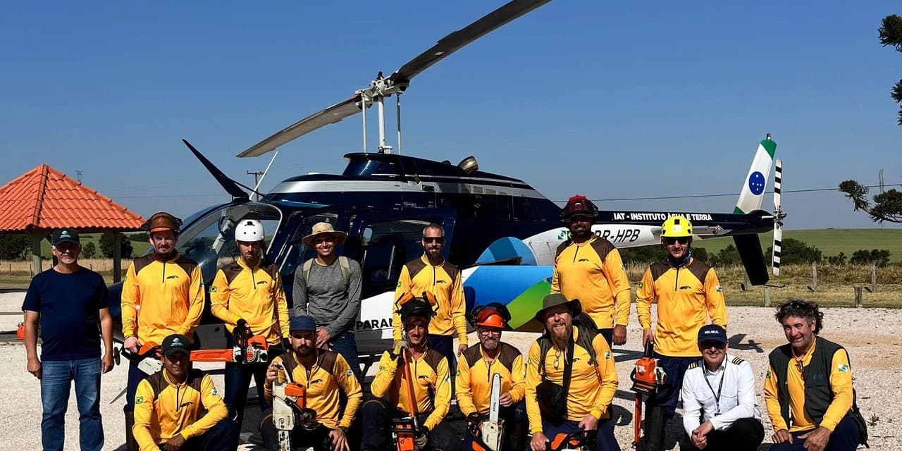Com apoio de voluntários e helicóptero, IAT retira 58 hectares de pinus do Guartelá