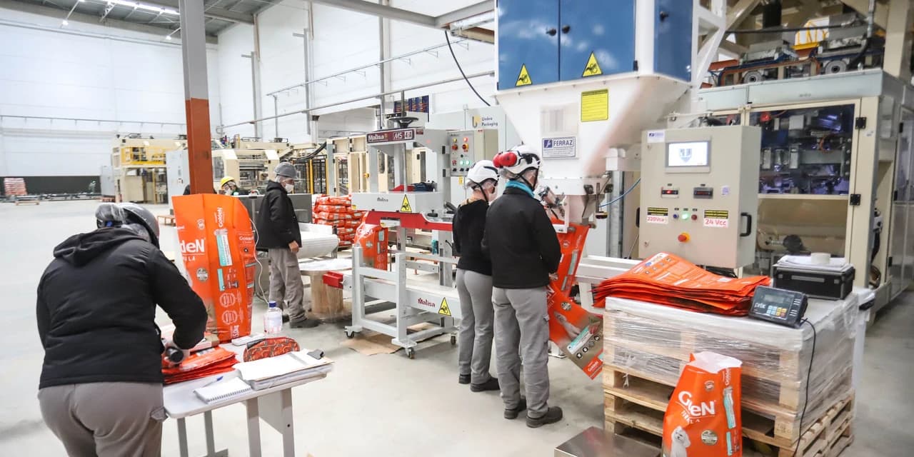 Protagonismo de proteínas e grãos transforma Paraná em polo industrial de ração pet