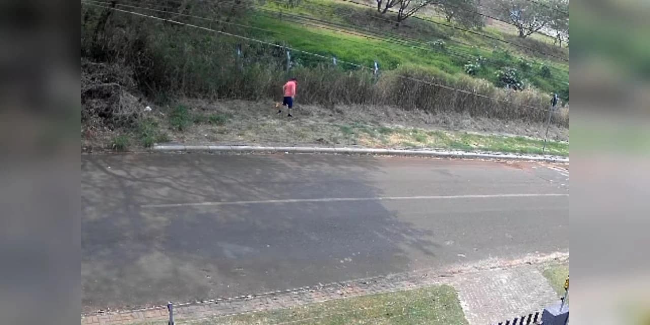 Homem é preso por crime ambiental ao colocar fogo em vegetação em Cascavel