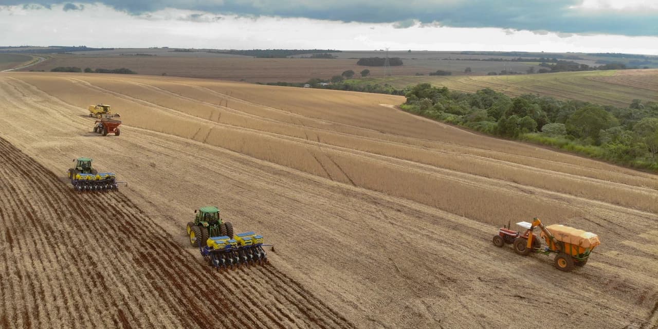 Com fim do vazio sanitário, plantio de soja começa em 5,8 milhões de hectares no Paraná