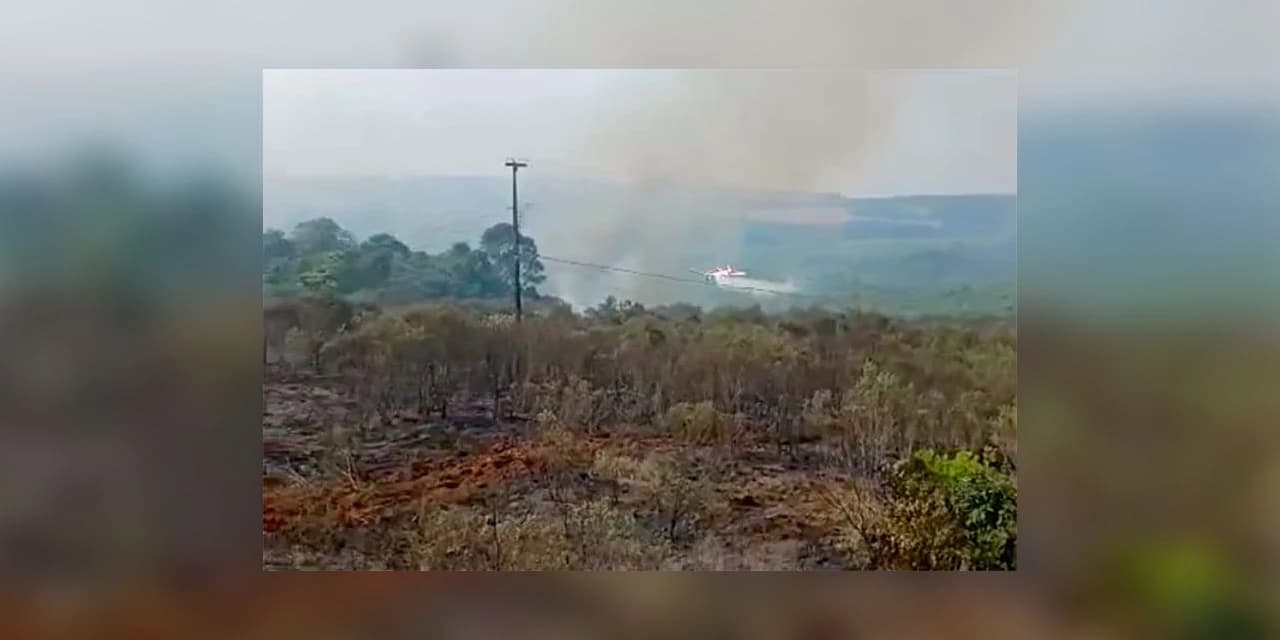 Avião contratado pelo Estado é acionado para combater incêndio florestal em Palmeira