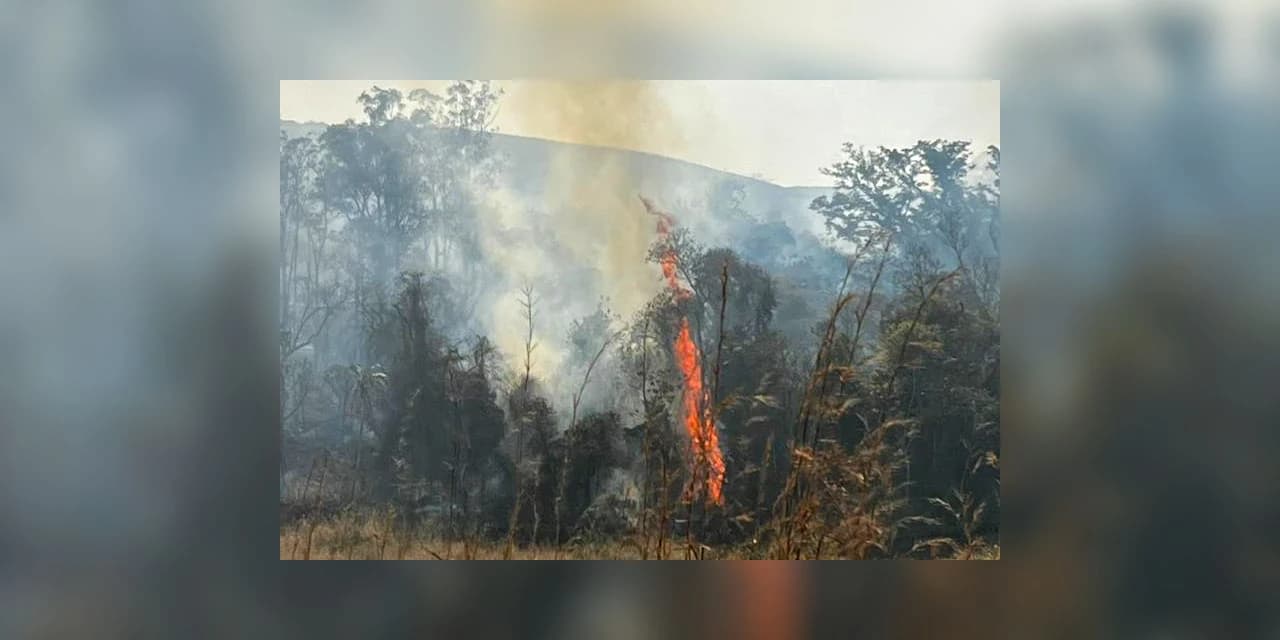Com volta do calor, Bombeiros reforçam alerta de combate aos incêndios florestais