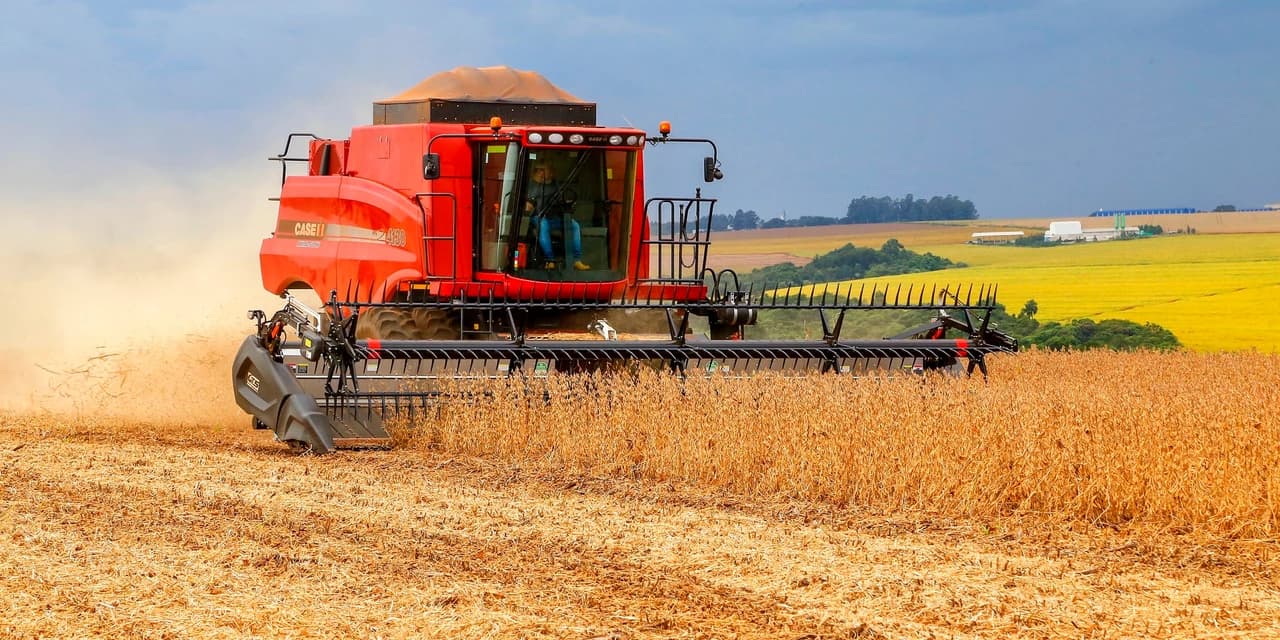 Chuvas favorecem plantio e produção estimada de soja é de 22,4 milhões de toneladas