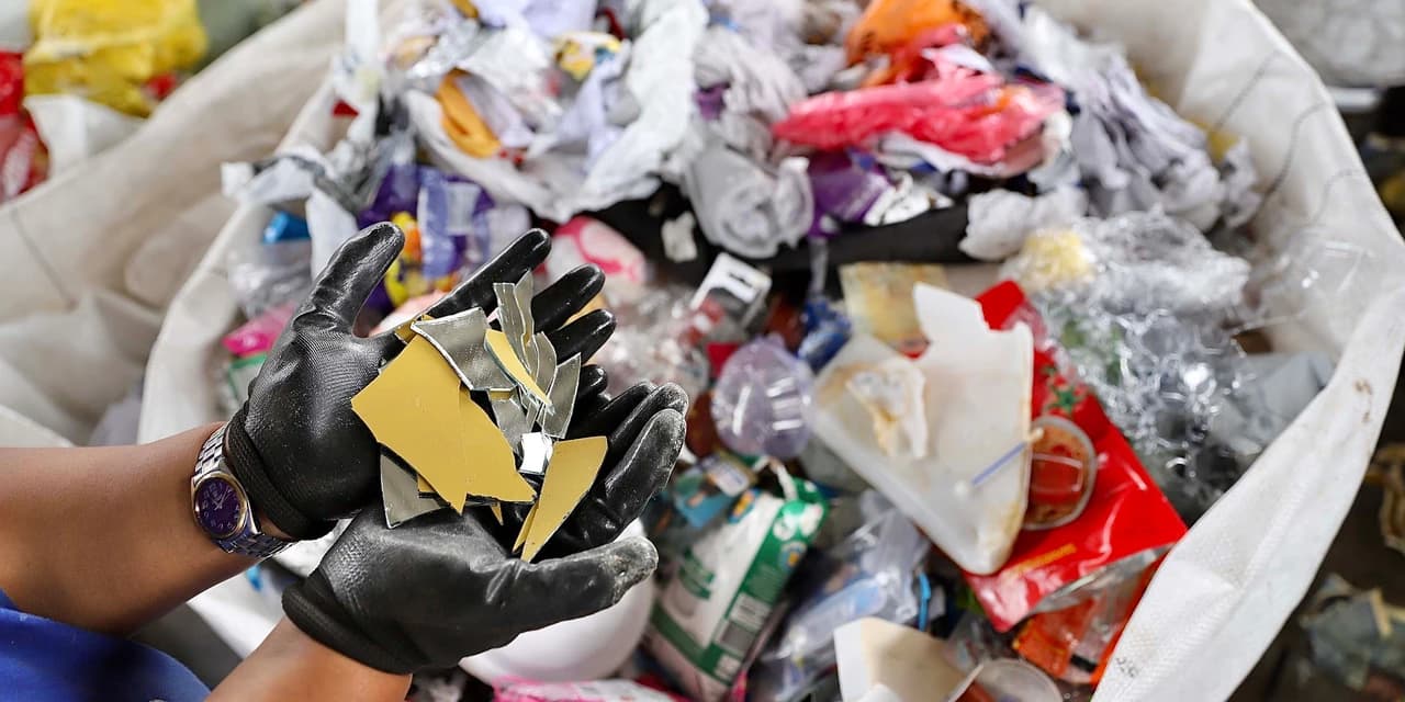 Estado vai lançar programa voltado a mulheres que trabalham com reciclagem