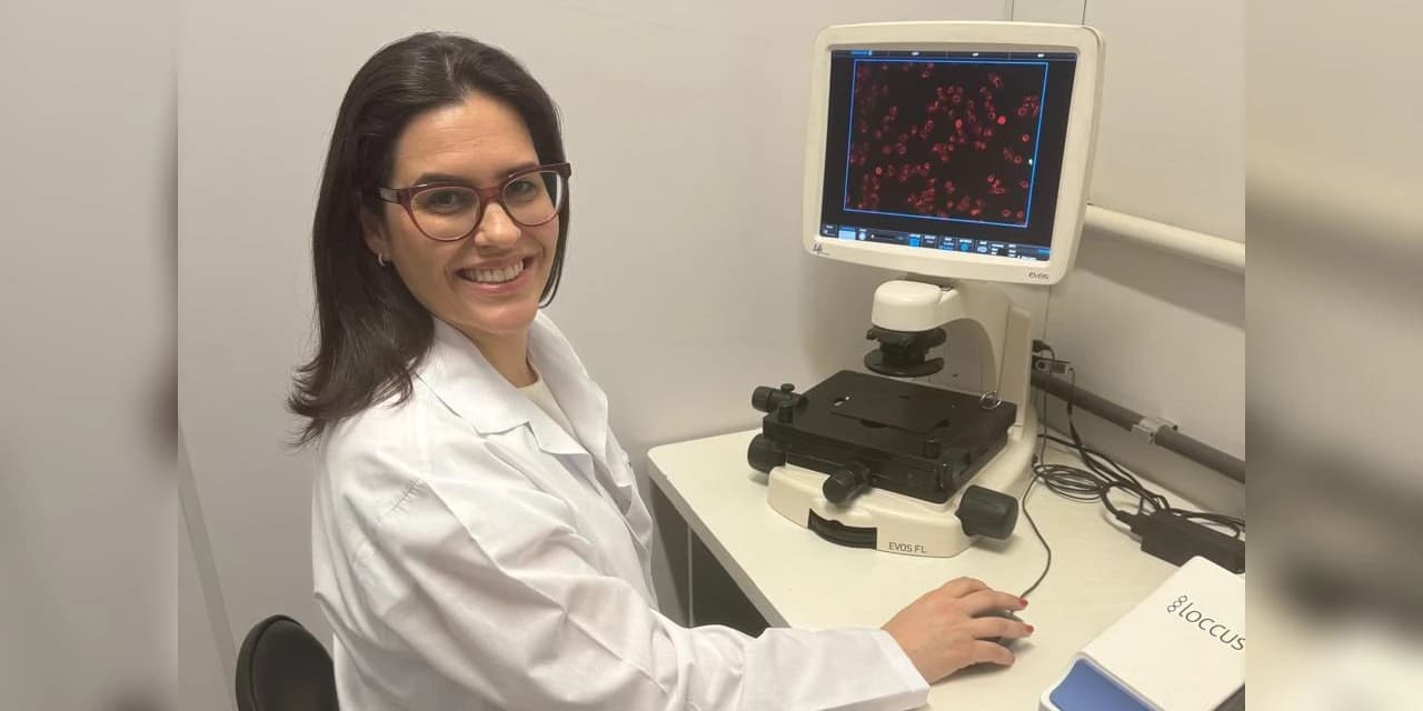 Pesquisadores estudam uso de composto na própolis para tratamento de câncer de mama