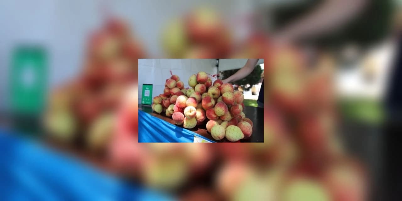 Perda na produção causa impossibilidade de realização de Festa do Pêssego em Irati