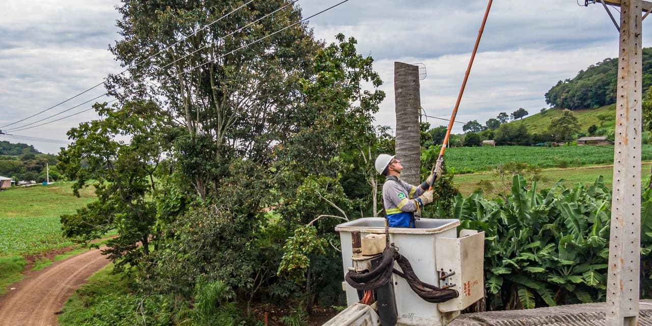 No Paraná, população que vive no campo conta com 20 mil km de novas redes elétricas