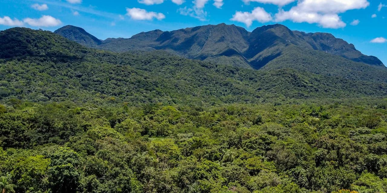 Estado atualiza procedimentos do ICMS Ecológico; 59% das cidades recebem o benefício