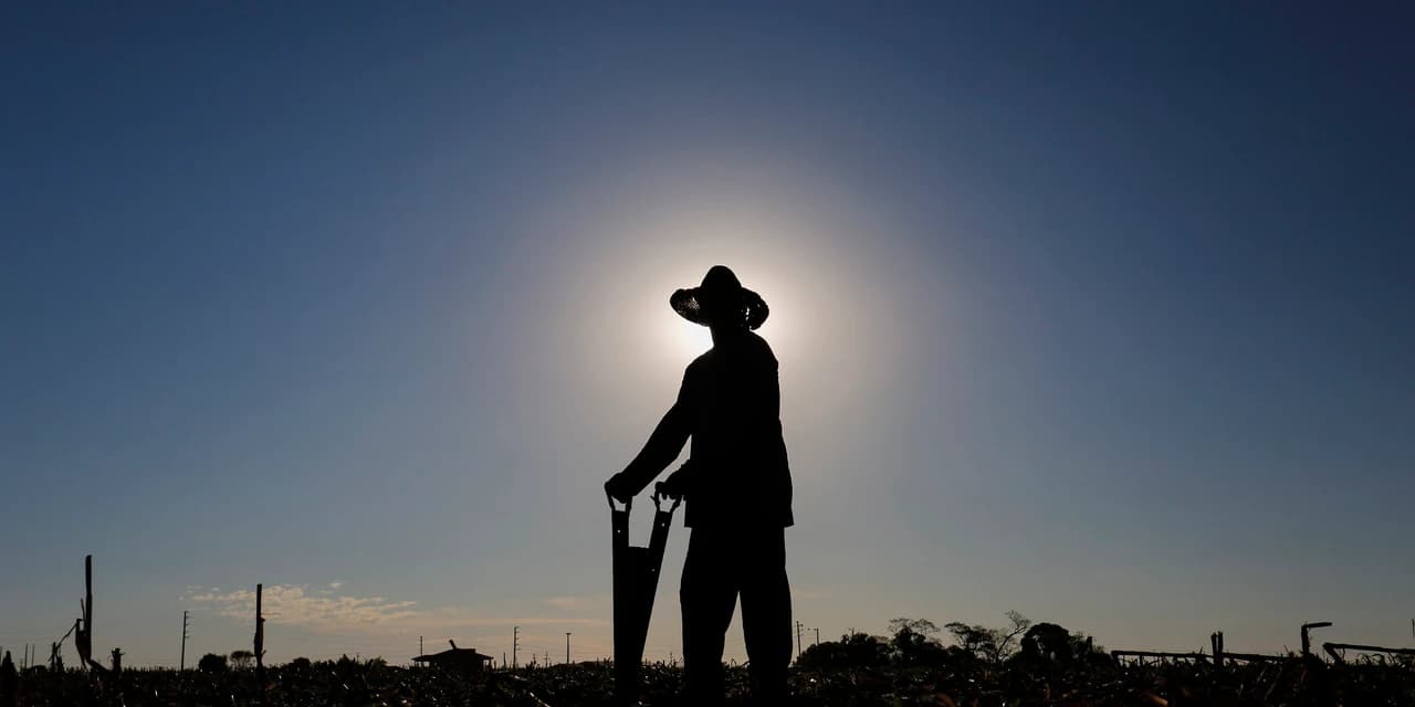 Adesão obrigatória da nota fiscal eletrônica do produtor rural é prorrogada para julho