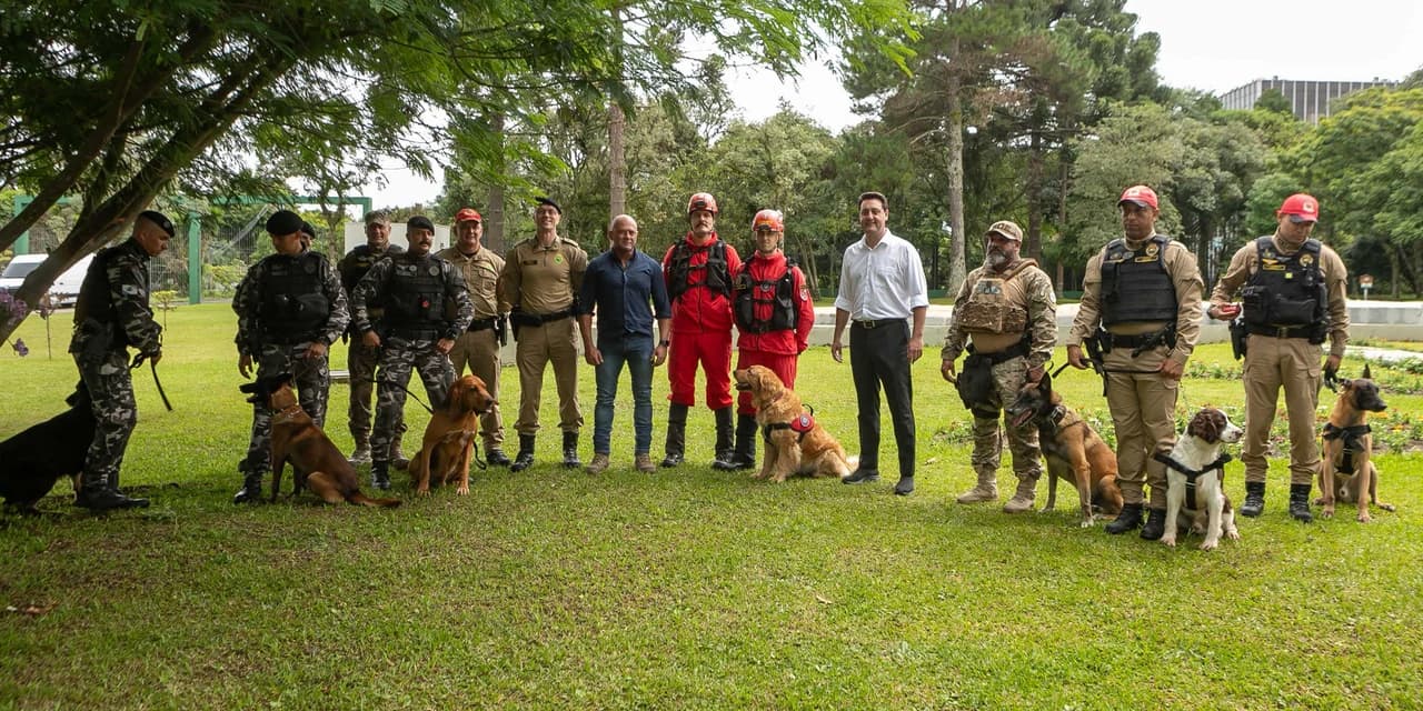 Governo do Paraná vai comprar 93 cães para reforçar atividades policiais e de salvamento