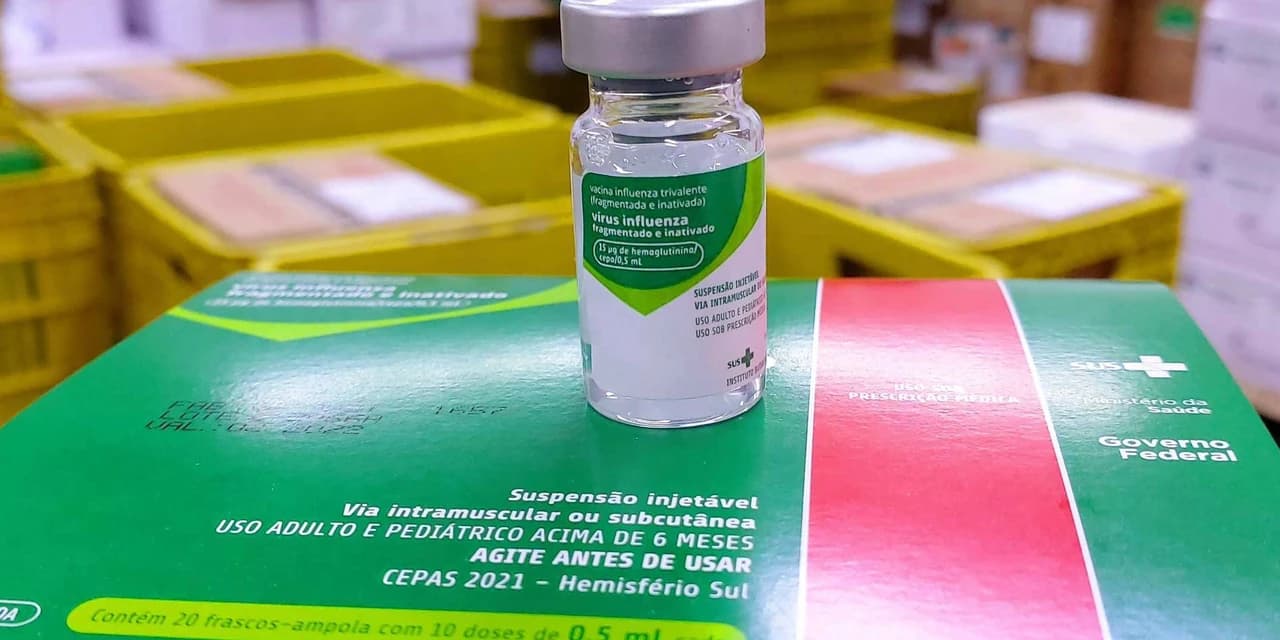 Influenza: vacinação para crianças, idosos e gestantes entra na rotina anual do SUS