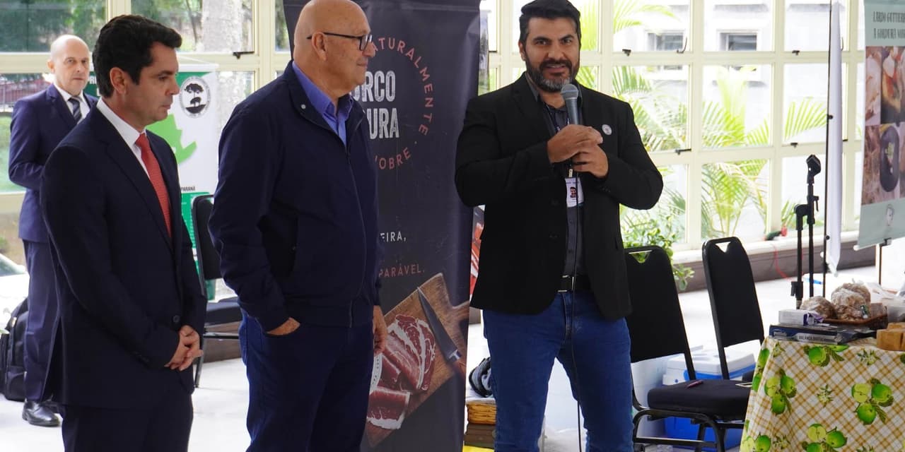 Adapar anuncia portaria inédita para regulamentar criação do Porco Moura no Paraná