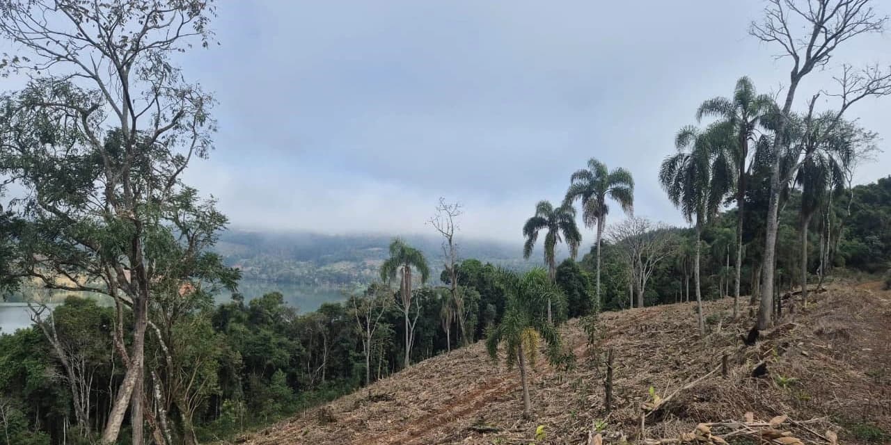 Operação de combate ao desmatamento em 12 cidades aplica R$ 4,6 milhões em multas