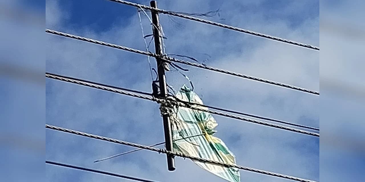 Proibido por lei no Paraná, cerol de pipas corta linhas de energia e põe vidas em risco